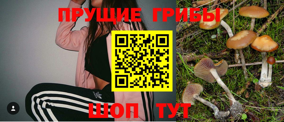 Галлюциногенные грибы прущие грибы  Галлюциногенные грибы GOLDEN TEACHER  Вход с VPN  Осинники 