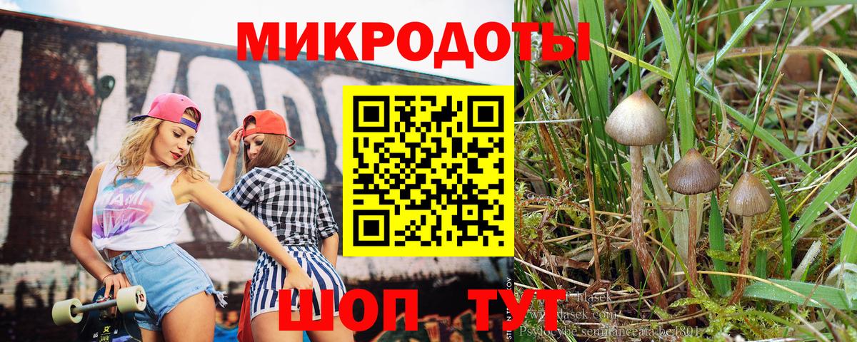 Галлюциногенные грибы мухоморы Осинники